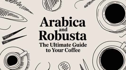 Arabica and Robusta The Ultimate Guide to Your Coffee