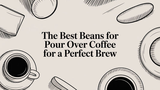 The Best Beans for Pour Over Coffee for a Perfect Brew