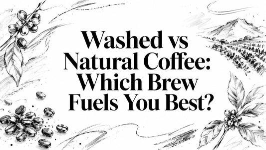 Washed vs Natural Coffee: Which Brew Fuels You Best?